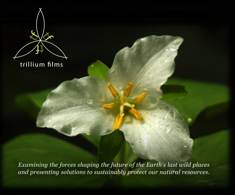 Trillium Films